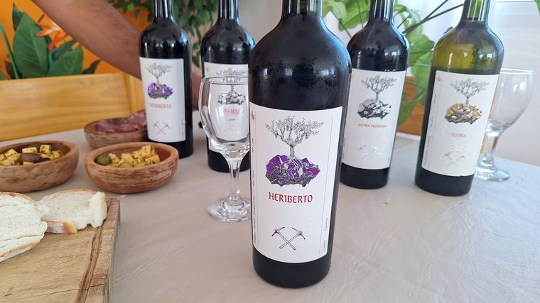 Alma Minera, un viñedo para disfrutar en Río de los Sauces