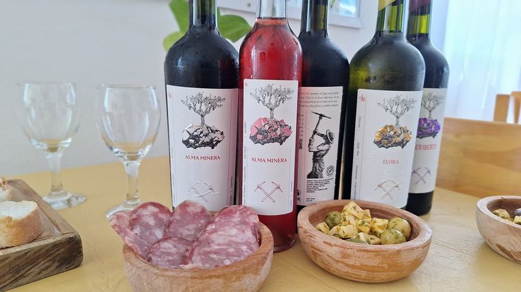 Alma Minera, un viñedo para disfrutar en Río de los Sauces