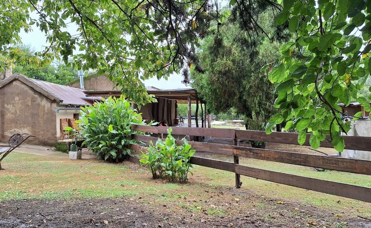 Experiencia glamping en 