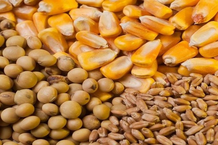 FOTO: Llegan nuevos contratos de futuros para trigo, maíz y soja