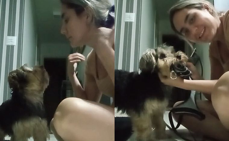 FOTO: Un amigo fiel: en Lengua de Señas le da indicaciones a su perro
