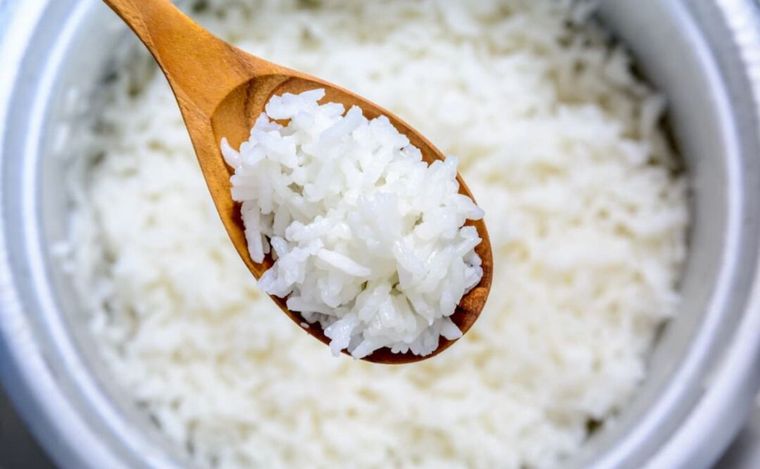 FOTO: Productores de arroz esperan que los precios se normalicen en los próximos meses. 