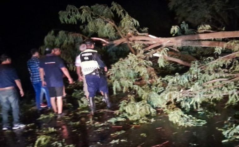 El temporal causó serios inconvenientes en Salta.