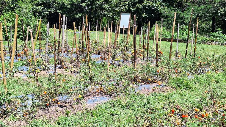 Estancia Candonga, en El Manzano. (Foto: Cadena 3)