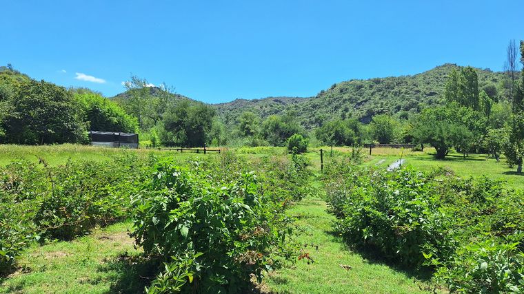 Estancia Candonga, en El Manzano. (Foto: Cadena 3)