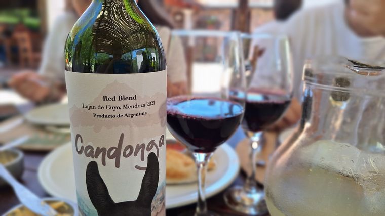 Estancia Candonga, en El Manzano. (Foto: Cadena 3)