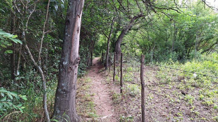Río Tiu Mayu, un sendero para recorrer lleno de paz en La Granja