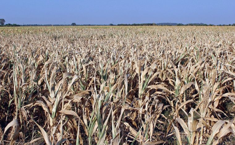 ARCHI_1054941 sequia argentina