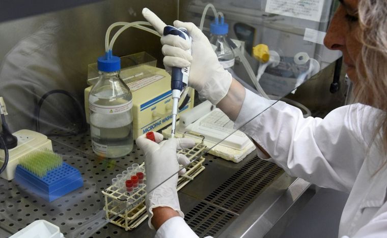 El Cemar procesará muestras y diagnosticará Encefalitis Equina del Oeste