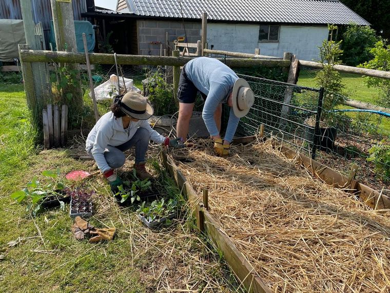 Virginia Solís una emprendedora, enfocada en el buen uso de la tierra de cultivo
