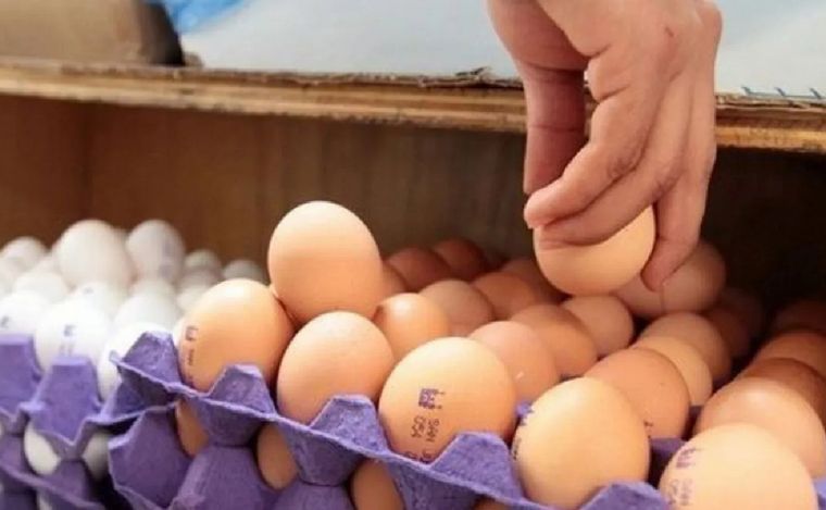 FOTO: Aumentó el precio de los huevos. (Foto: ilustrativa/Google)