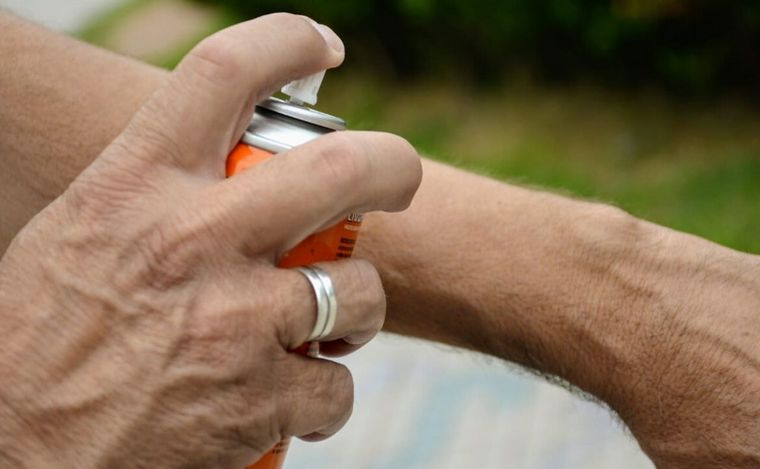 Dengue en Rosario: aumenta la demanda de repelentes y escasean las vacunas.