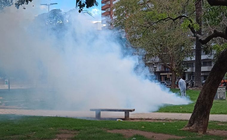 FOTO: Se multiplican los mosquitos en Rosario: focalizan fumigaciones en parques.