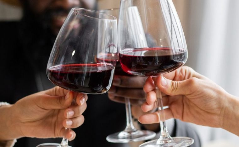 Argentina es uno de los países líderes del nuevo mundo del vino. (Foto: ilustrativa)