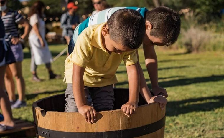 Se lleva a cabo una nueva fiesta de la Vendimia en Salta
