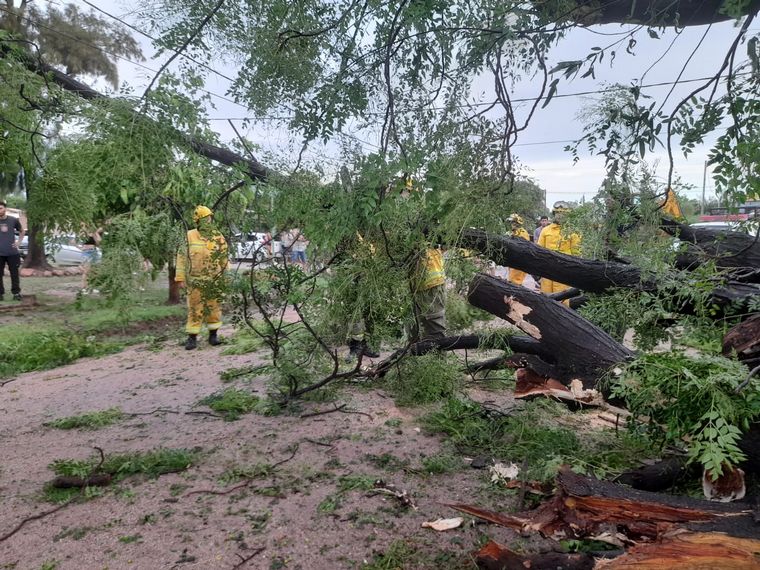 Una fuerte tormenta con intensas ráfagas hizo destrozos en Sebastián Elcano.