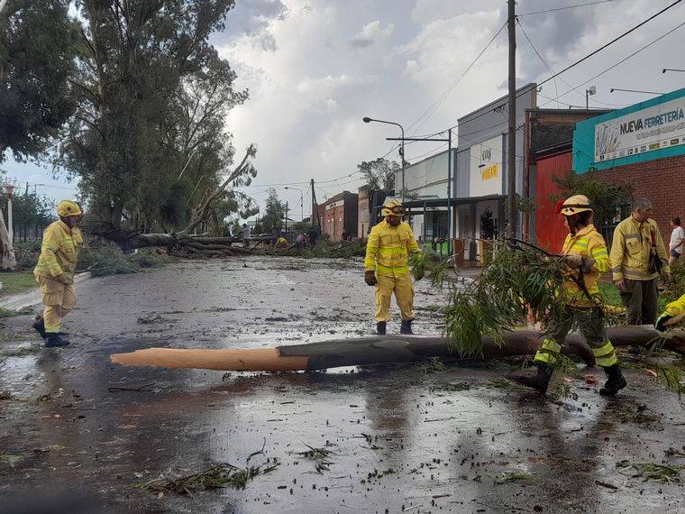 FOTO: Una fuerte tormenta con intensas ráfagas hizo destrozos en Sebastián Elcano.