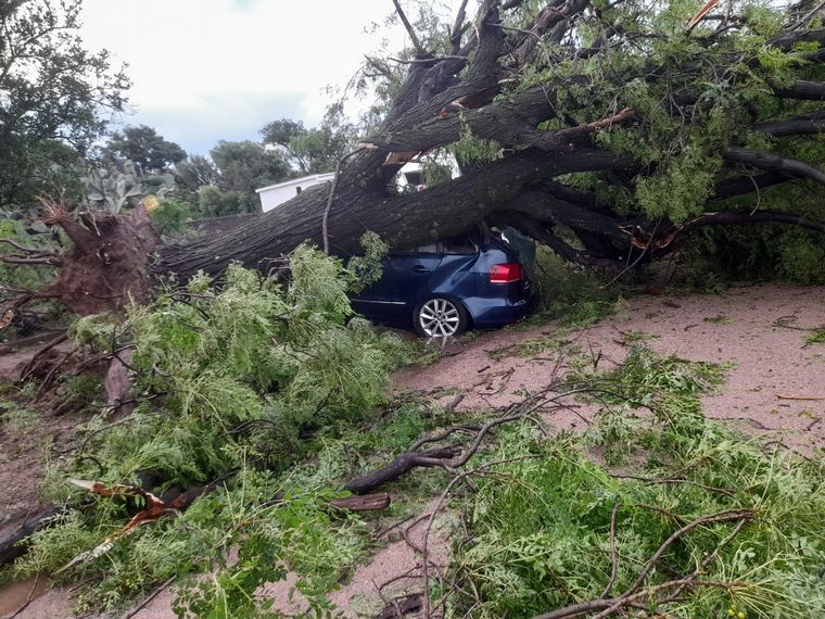 Una fuerte tormenta con intensas ráfagas hizo destrozos en Sebastián Elcano.