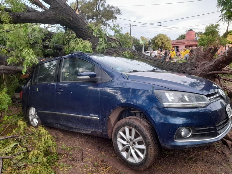 Una fuerte tormenta con intensas ráfagas hizo destrozos en Sebastián Elcano.