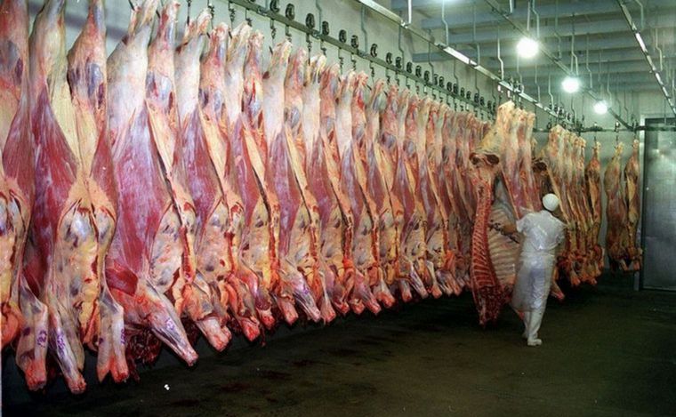 FOTO: Sostienen que este año se recuperará mucho la exportación de carnes.