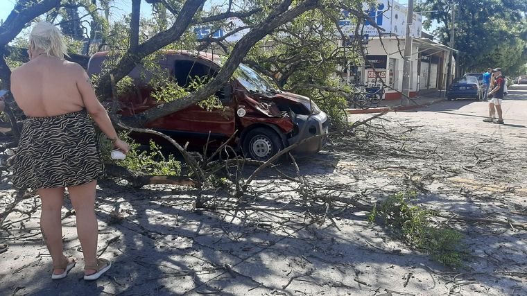 Cayó un árbol en Córdoba y aplastó a tres autos. (Federico Borello/Cadena 3)