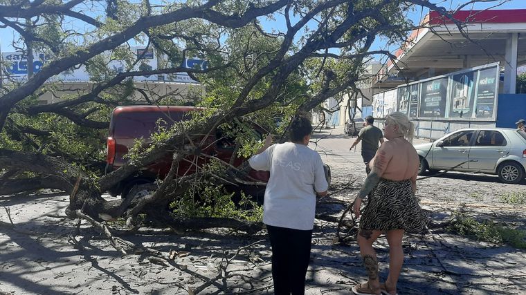 FOTO: Cayó un árbol en Córdoba y aplastó a tres autos. (Federico Borello/Cadena 3)