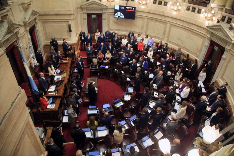 FOTO: La Cámara alta se pronunció en contra del medadecreto presidencial. 