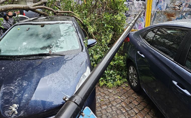 FOTO: Impactante: un árbol y una columna destrozaron autos en plena tormenta.