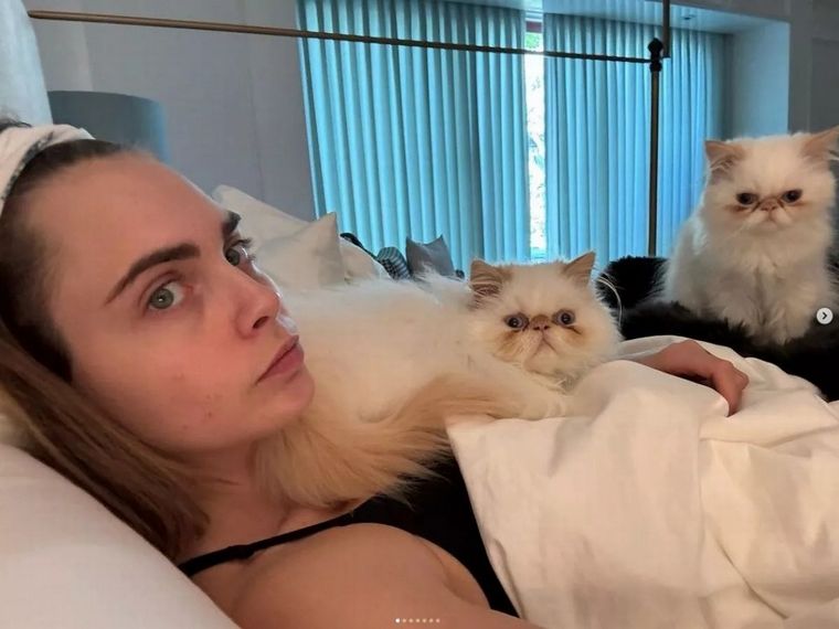 Cara Delevigne, feliz por sus gatos.