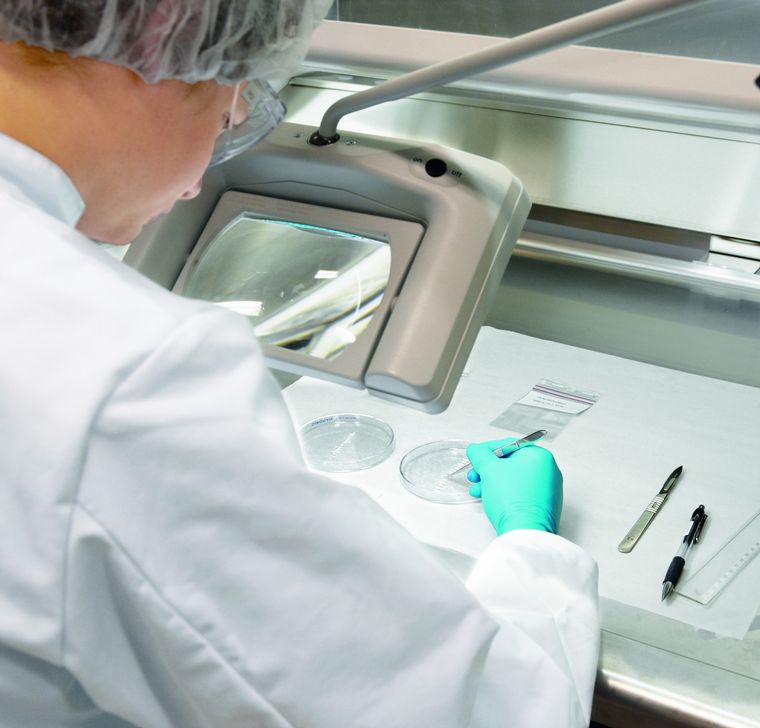 Bayer impulsa la anticoncepción inteligente con acceso a SIU y DIU