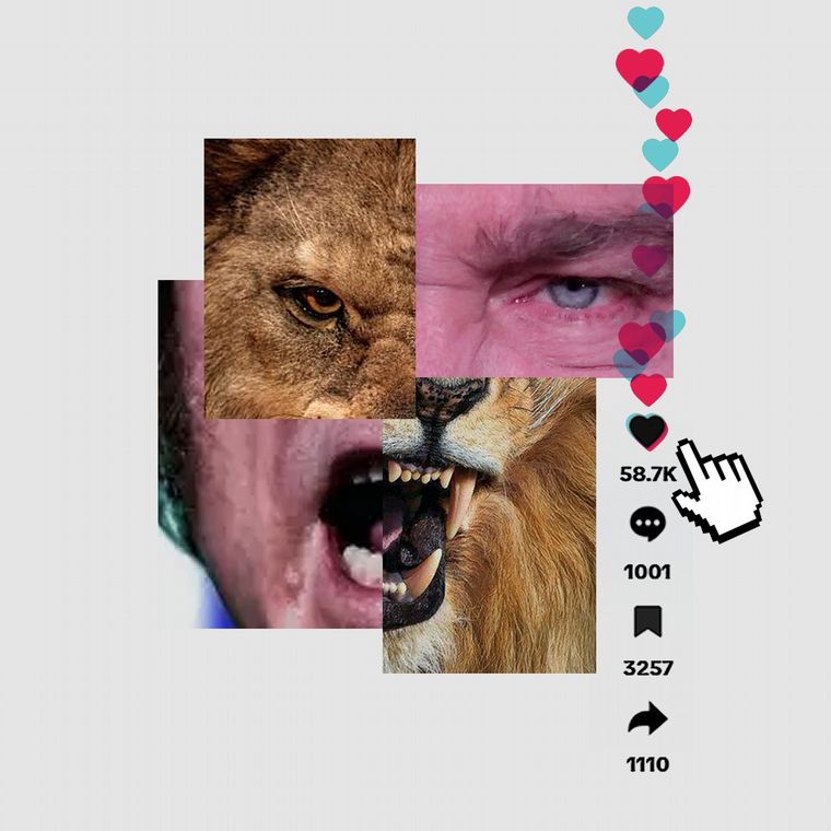 Ilustración: Juan Pérez Gaudio