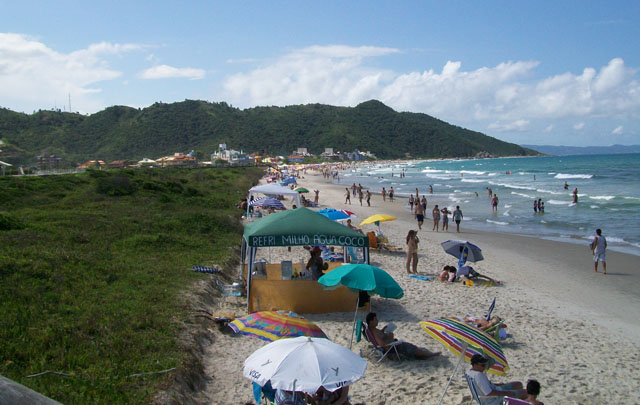 Palmas do Arvoredo, una playa de aguas cristalinas y de exuberante vegetación 