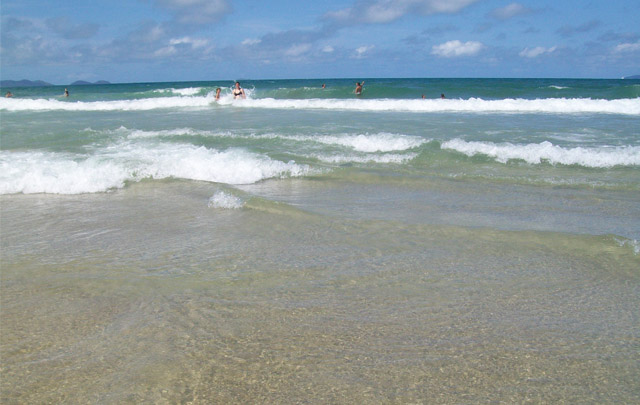 Palmas do Arvoredo, una playa de aguas cristalinas y de exuberante vegetación. 