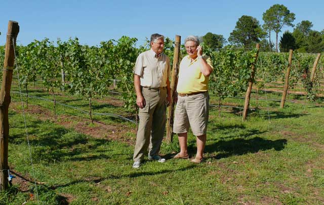 AUDIO: Finca Atos, un proyecto familiar pionero de la vitivinicultura en el Valle de Calamuchita (Marcos Astesano, hijo del dueño)