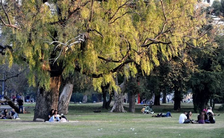 El hecho ocurrió en el Parque San Martín de La Plata.