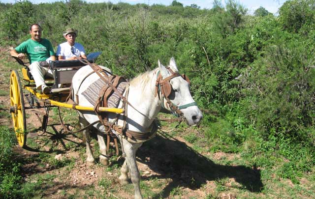 Posada Camino Real, una buena opción para el descanso.