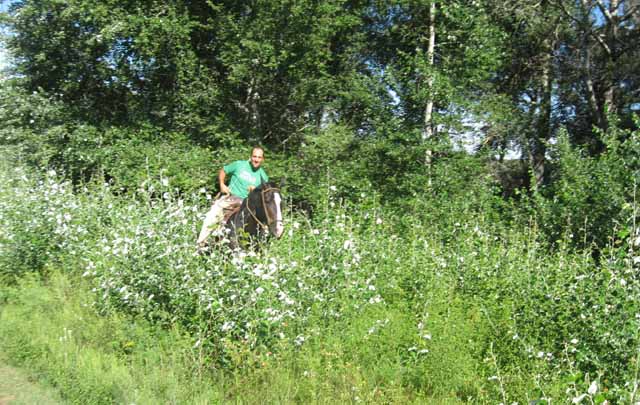 Posada Camino Real, una buena opción para el descanso.