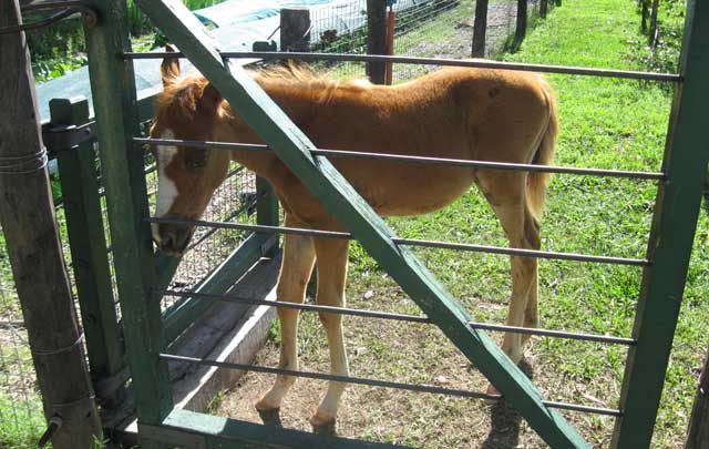 Posada Camino Real, una buena opción para el descanso.