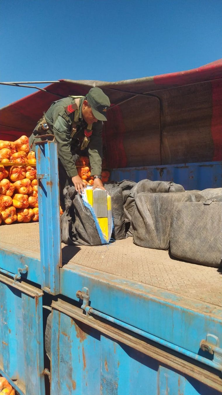 FOTO: Secuestraron más de 860 kilos de cocaína camuflados en un cargamento de zapallos.