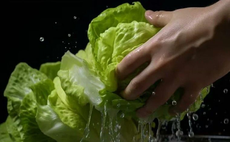 El precio de la lechuga, por las nubes. (Foto: ilustrativa/gentileza)