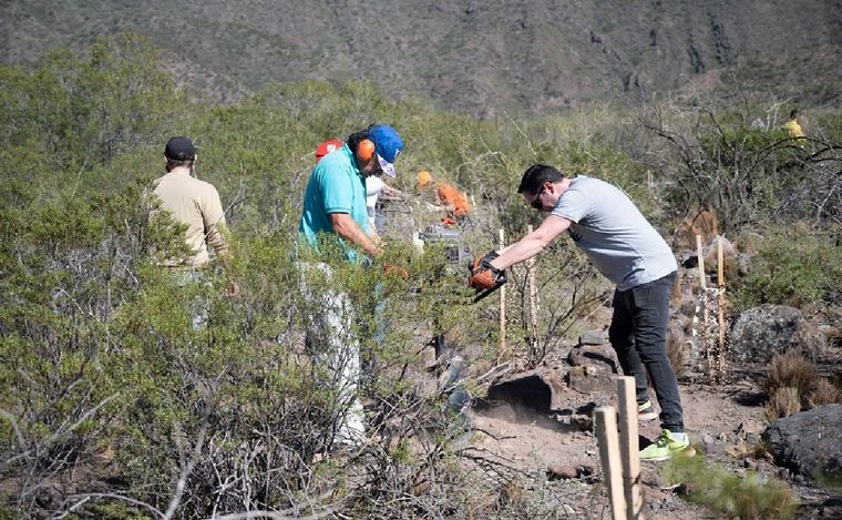 gentileza Unidiversidad.