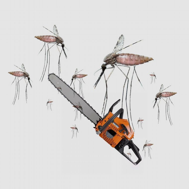 Fotoilustración: Juan Pérez Gaudio.