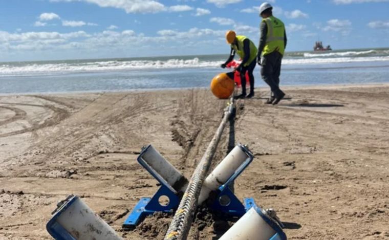 Firmina llegó a la Argentina