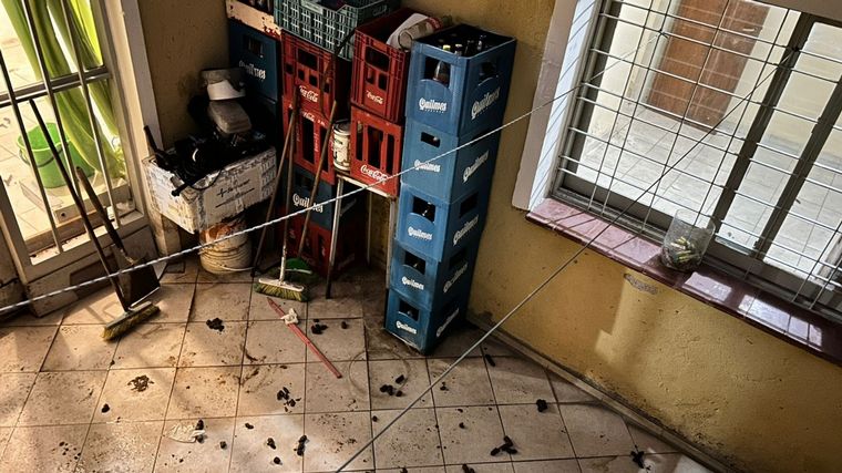 Encontraron muerto a un hombre dentro de un freezer (Foto: Lucía González)