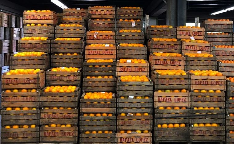 Mercado de Abasto de Córdoba.