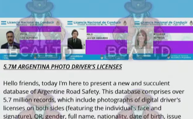 FOTO: Hackeo a la base de datos de licencias de conducir y mostraron la de Milei