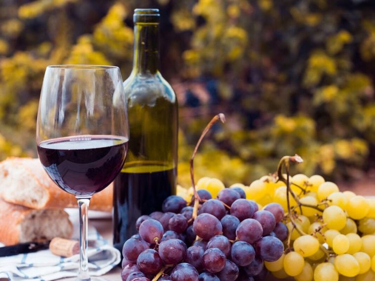 FOTO: Un enólogo argentino produce vinos 0% de alcohol en Nueva Zelanda