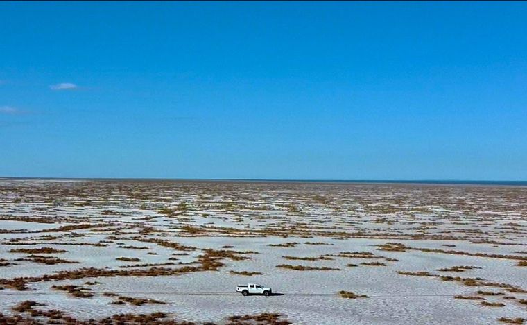 Pablo Eli y su equipo trabajan en el reconocimiento del DR40