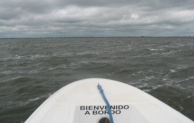 Juan Pablo Viola en Miramar - Mar Chiquita