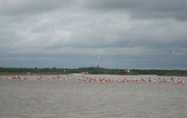 Juan Pablo Viola en Miramar - Mar Chiquita